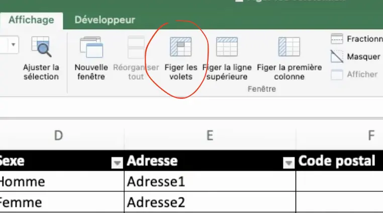 figer les volets excel